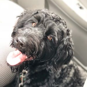 Meet your Posher, Candice